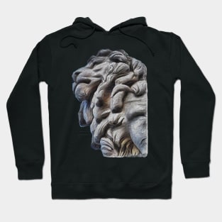 The South Bank Lion - London Hoodie